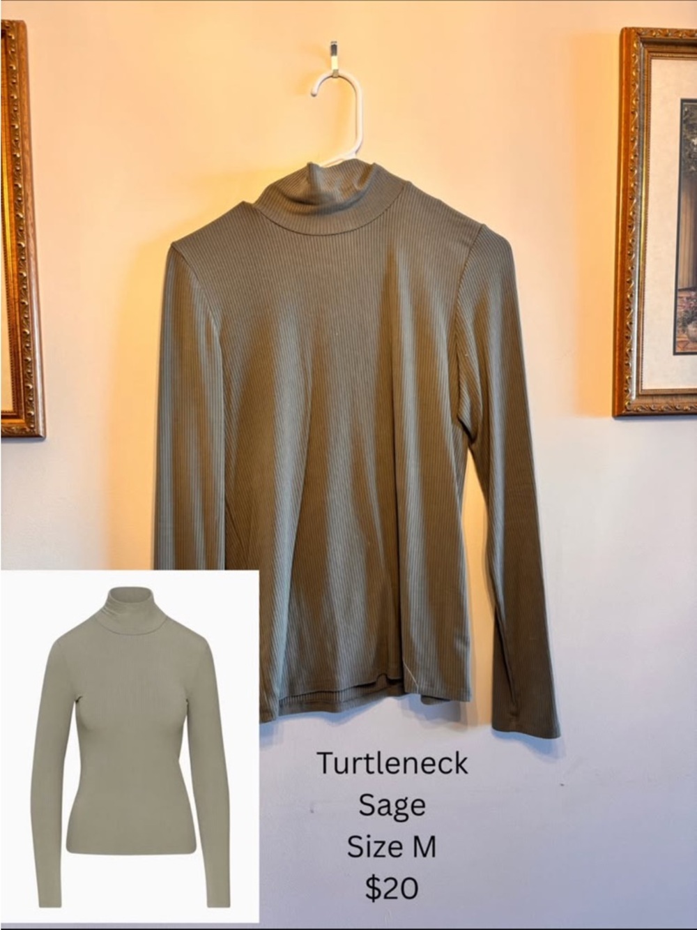 Wilfred Sage Ribbed Turtleneck Long Sleeve Top